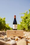 Châteauneuf du Pape rouge 2017 Le Plateau de Mont-Redon